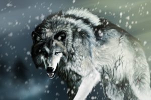Wolf HD desktop
