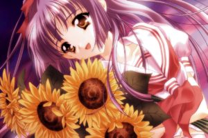 Anime Girls Flowers Wallpapers