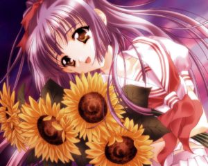 Anime Girls Flowers Wallpapers