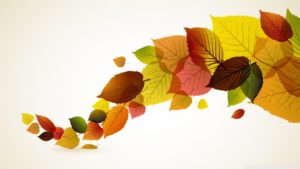Autumn leaves background wallpaper