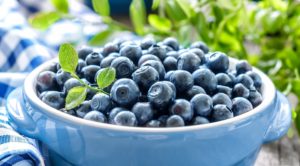 Blueberries Leaves HD wallpaper