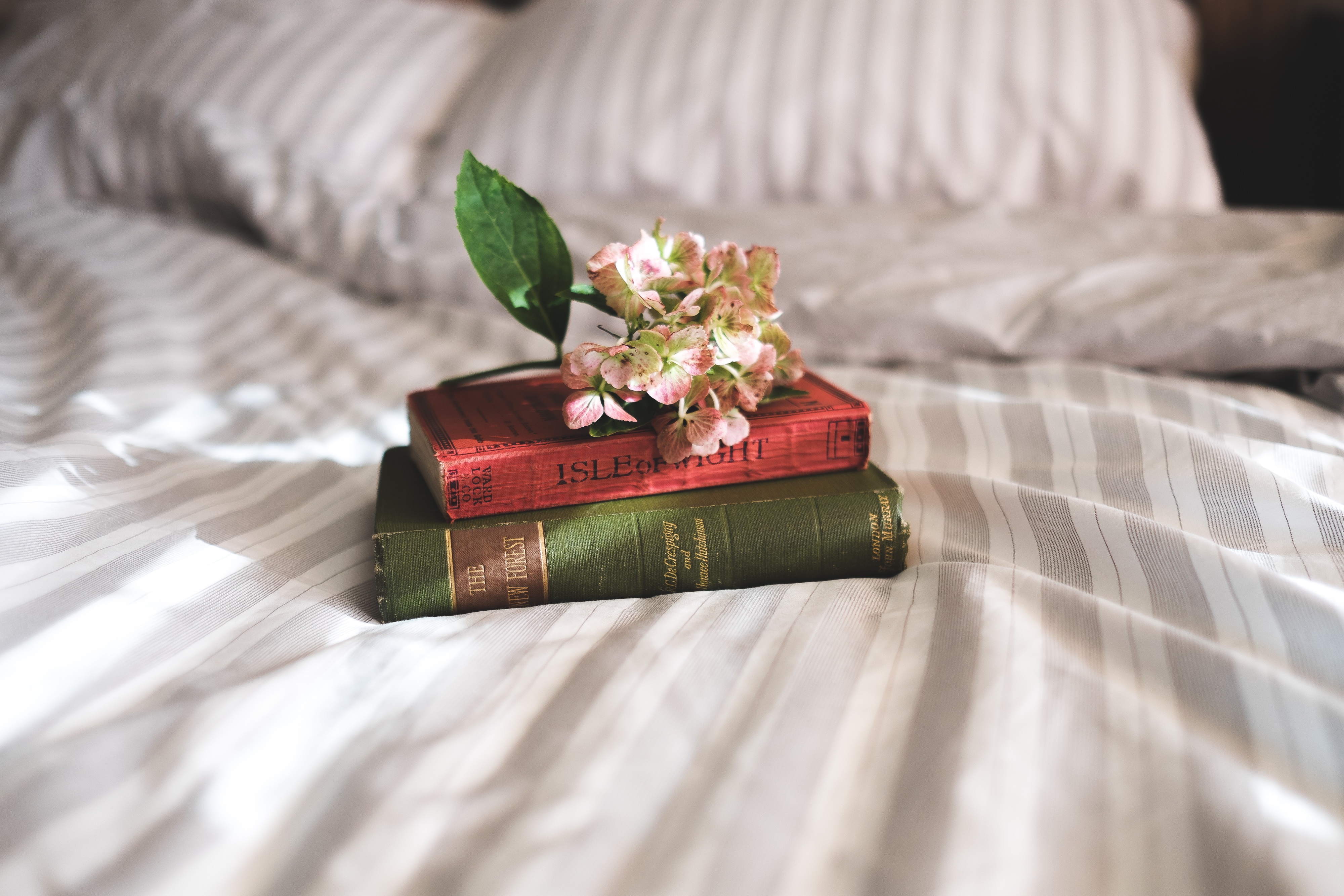 Books Flowers Bed Inspiration
