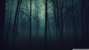 Dark Forest HD wallpaper