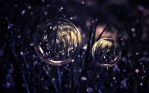 Drops Bubbles Grass 2560×1600