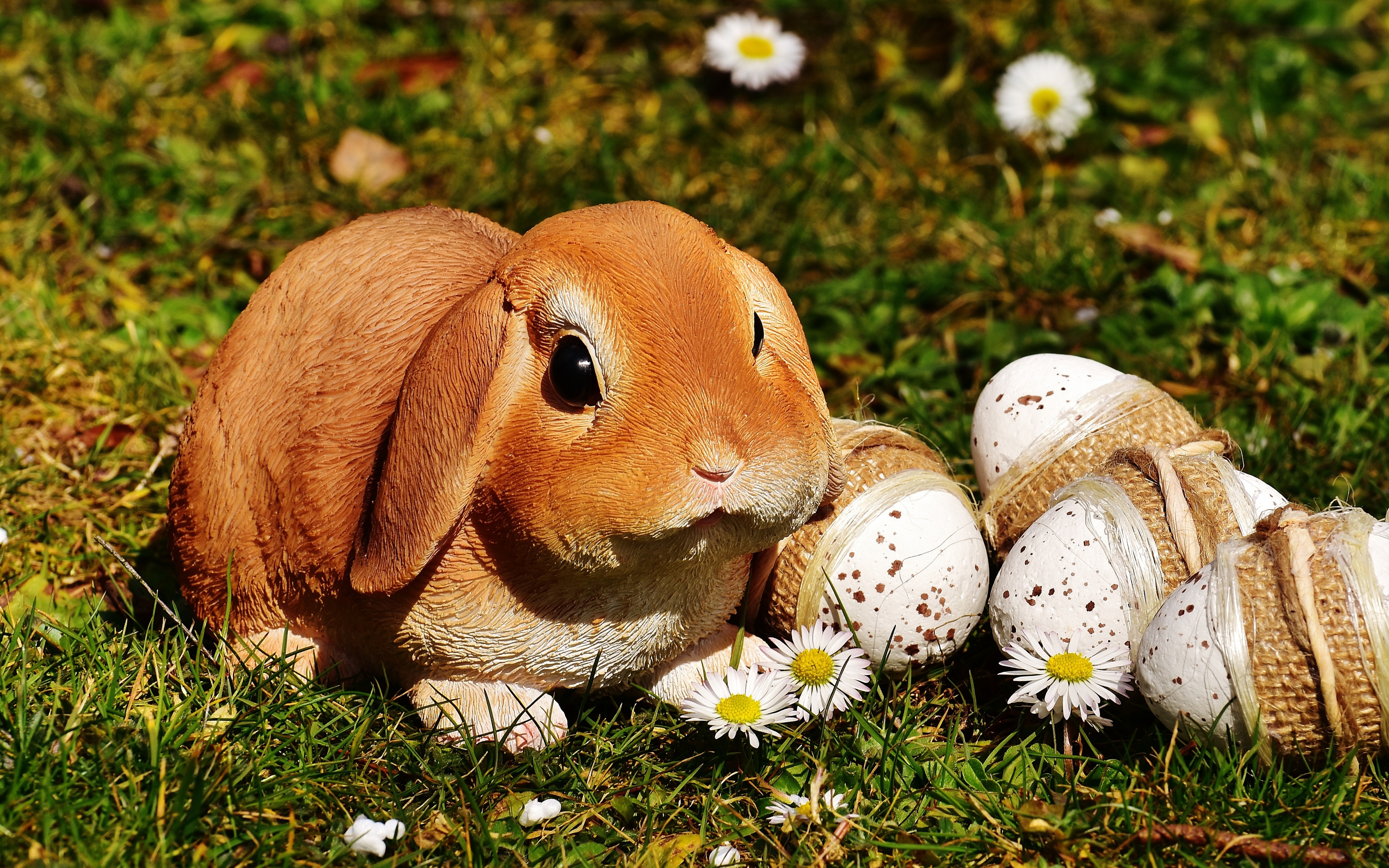 Easter Rabbit Eggs Ultra 4K