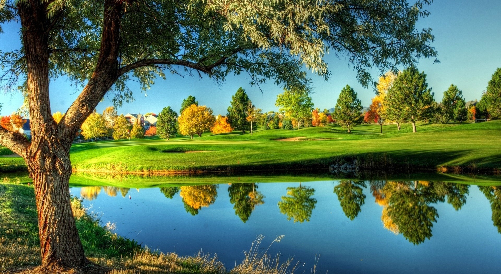 Golf Course Landscape wallpaper