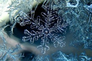 Snowflake Winter Macro Ice 1920×1200
