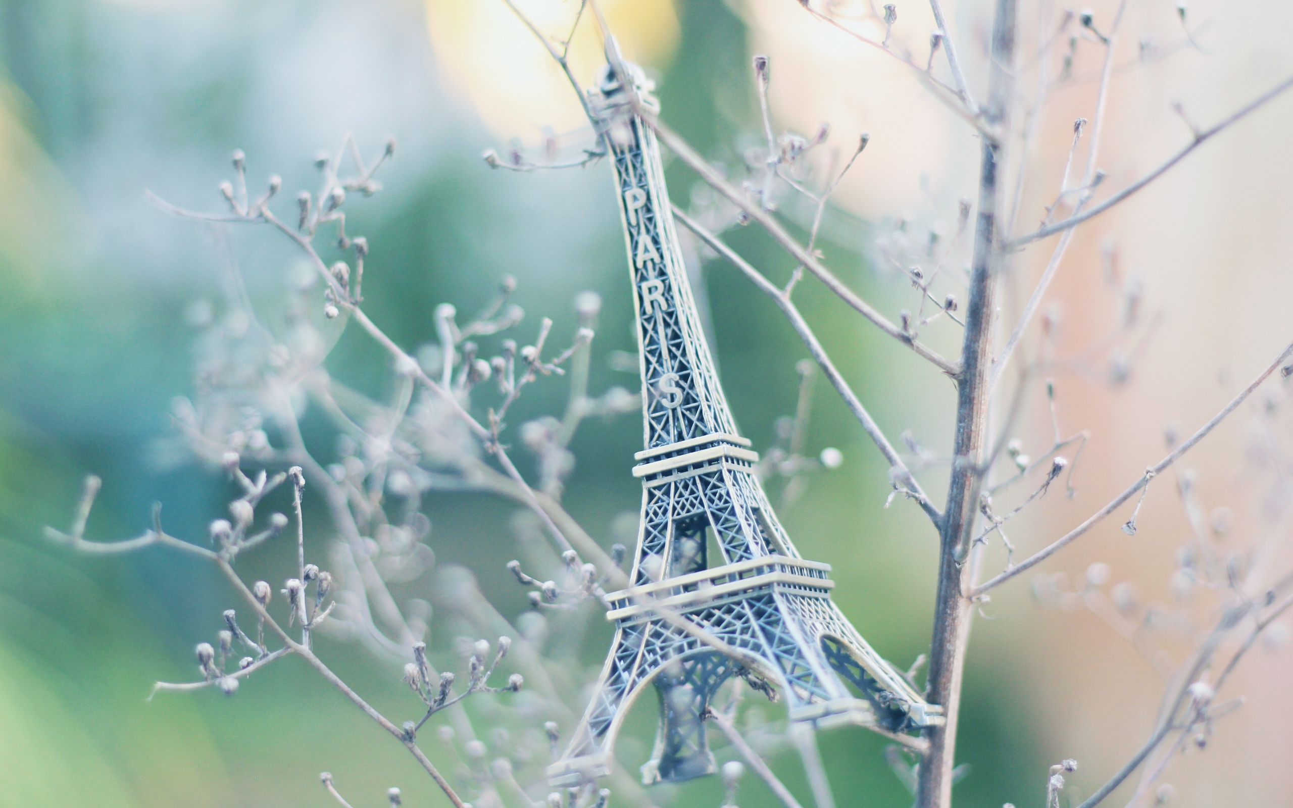 Statue, Eiffel tower, Grass, Souvenir 2560×1600