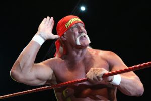 Hulk Hogan Salute