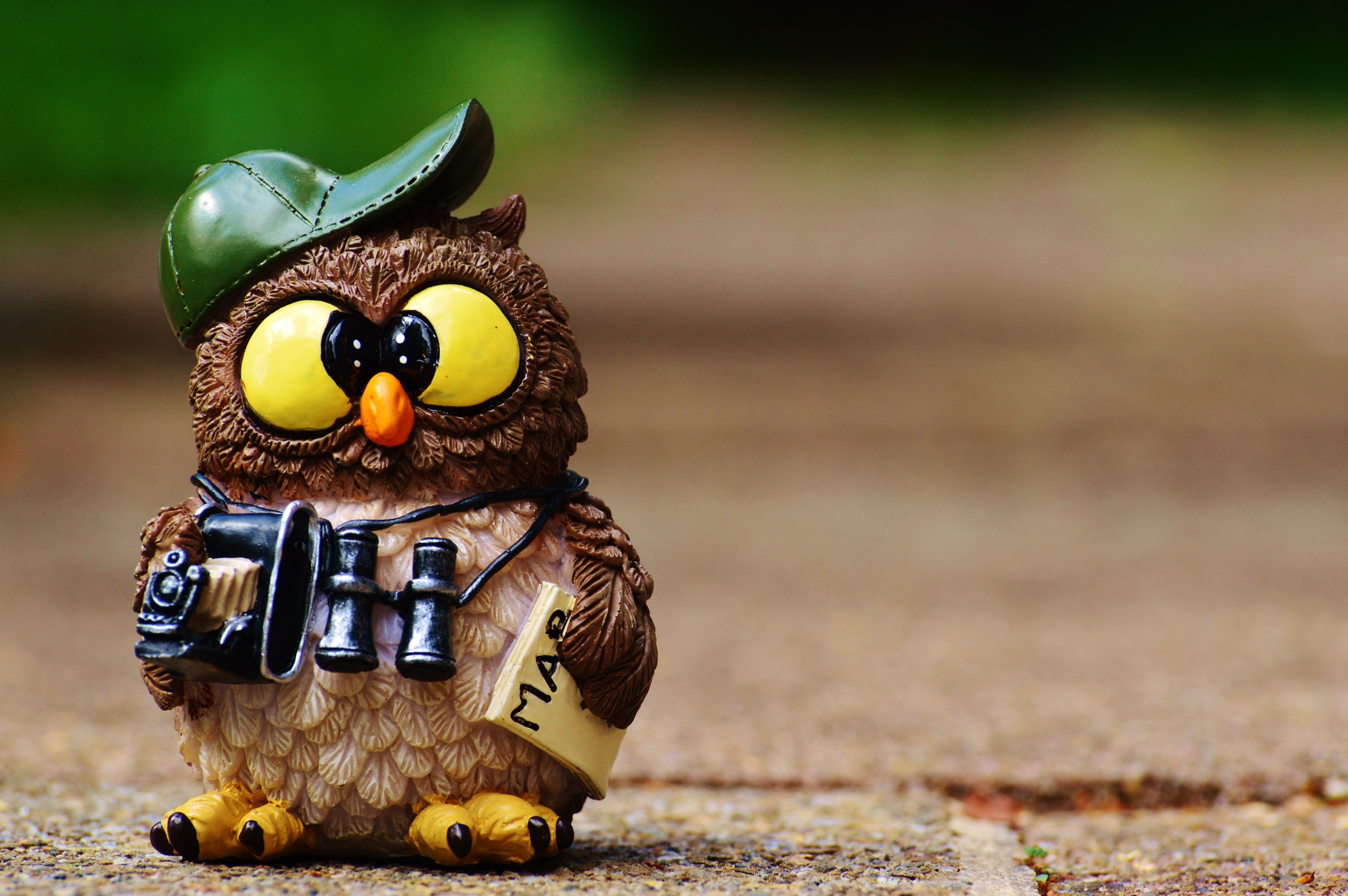 Owl Figurine Cap Binoculars