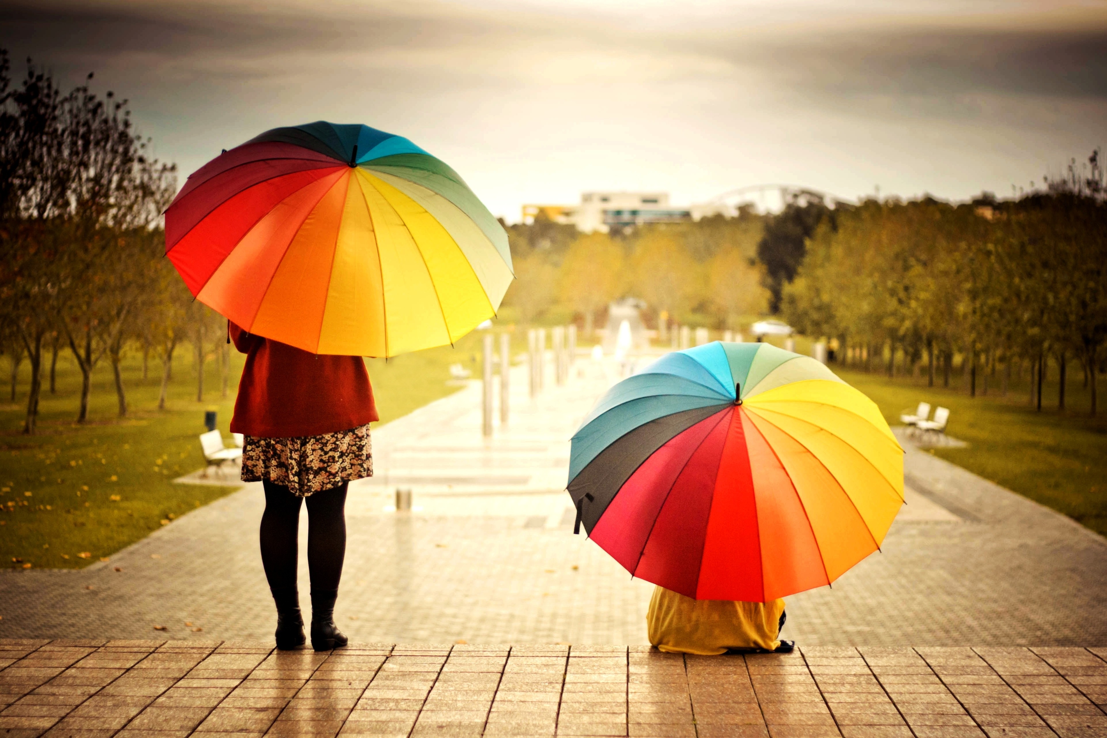Umbrellas Colorful Kids Rainbow Weather Mood