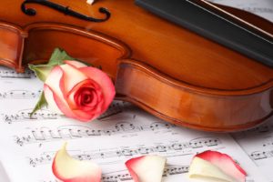 Violin Music Rose Petals