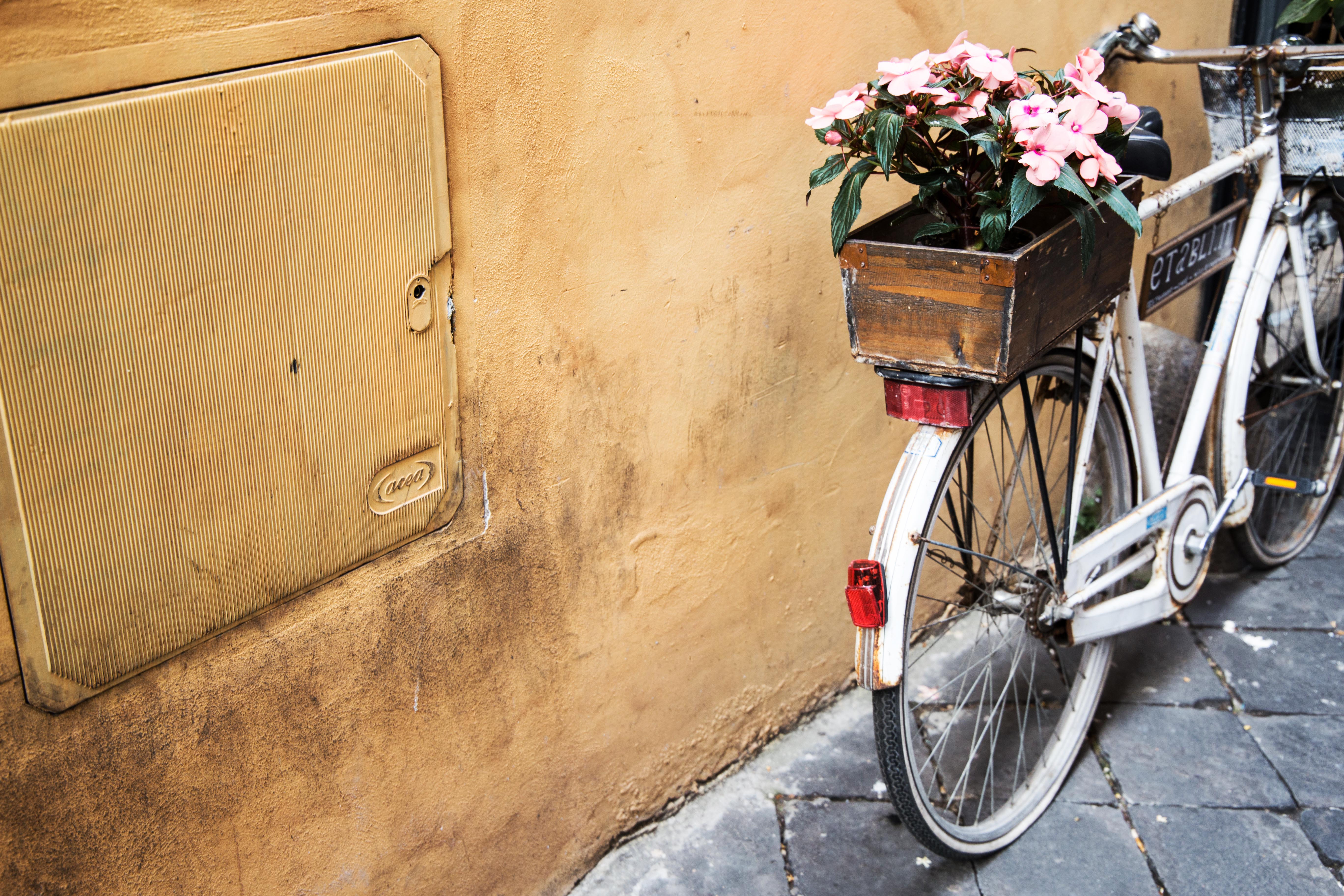 Bicycle Flowers Basket