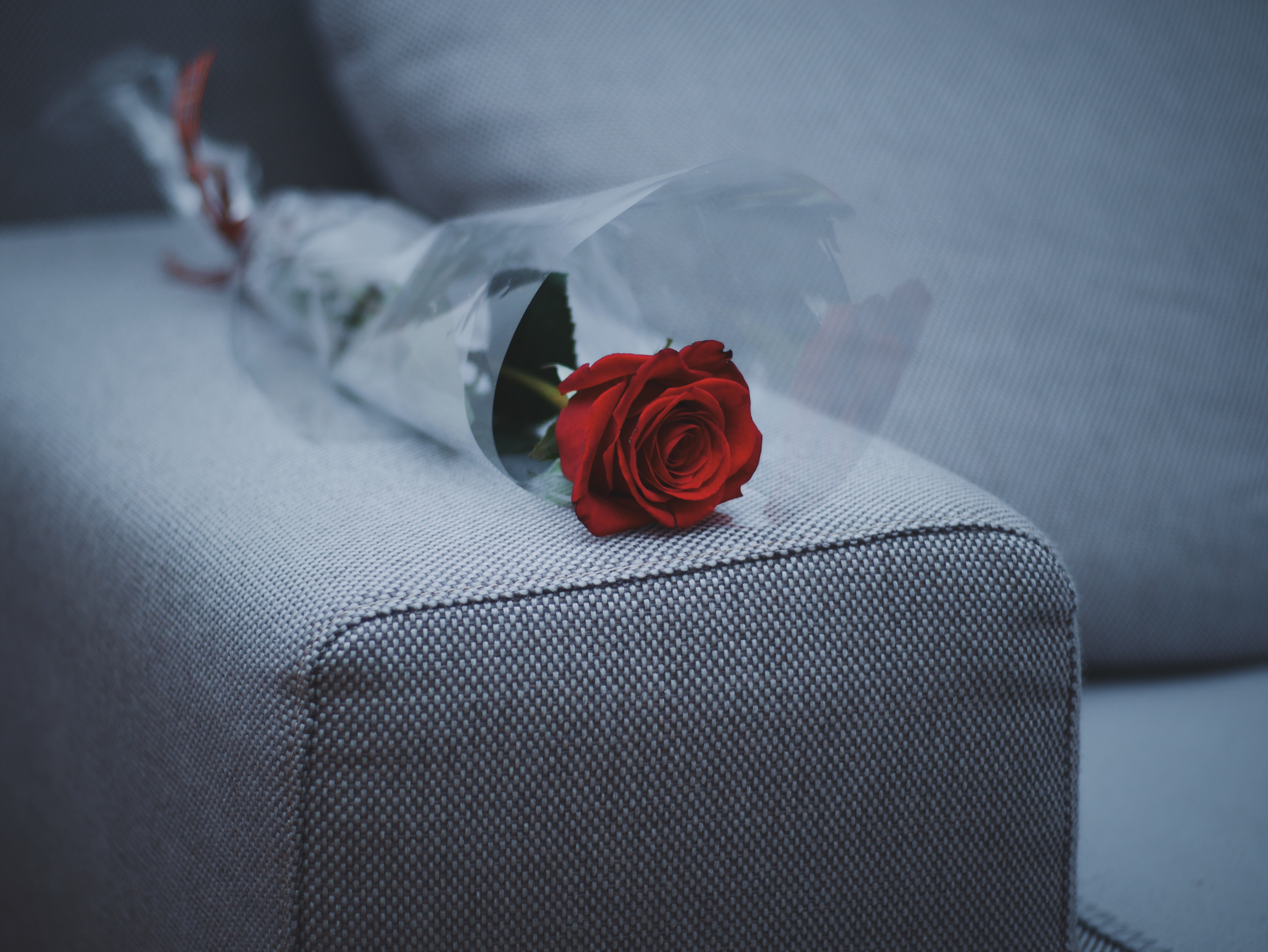Rose Sofa Furniture