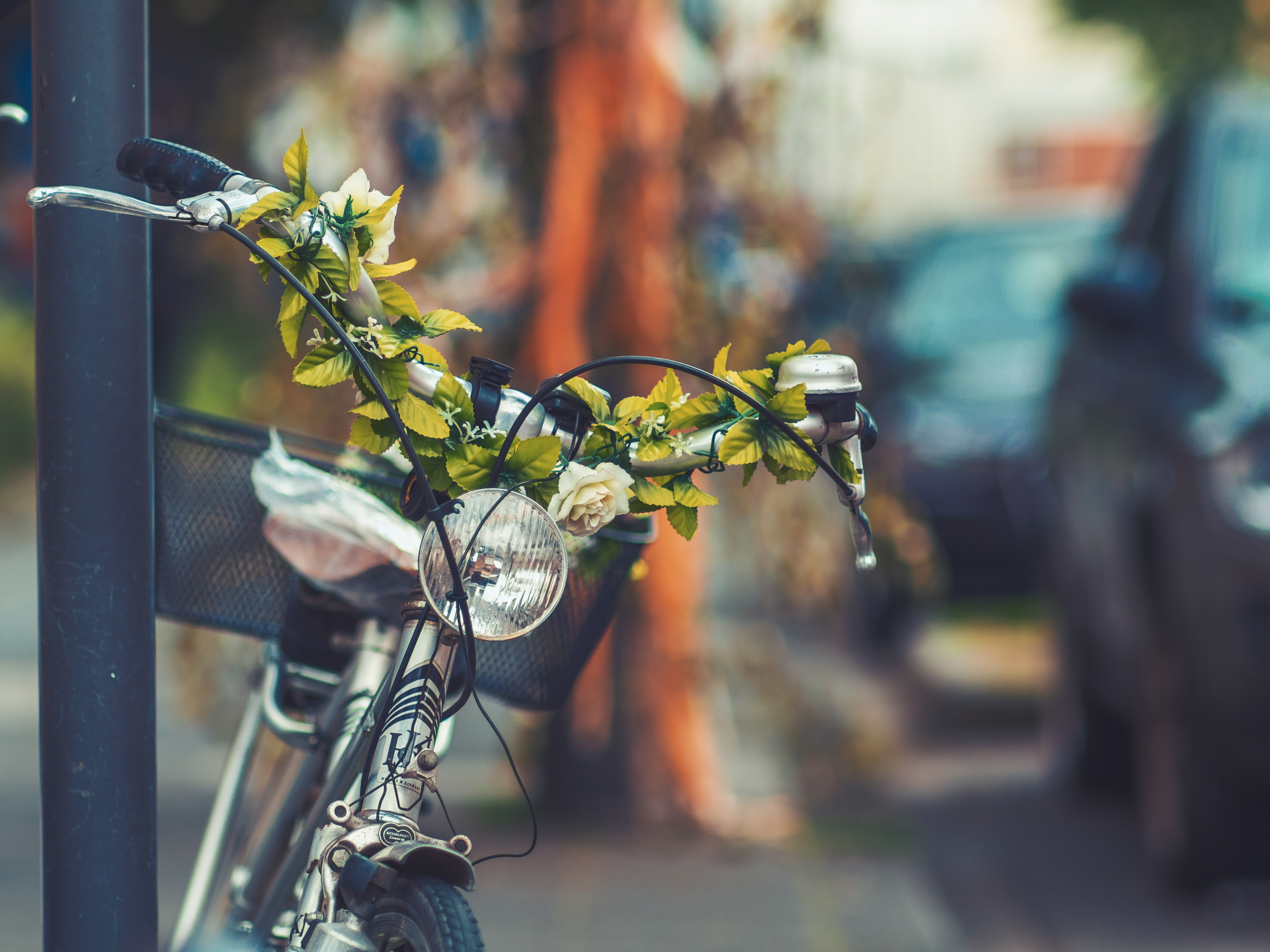 Bicycle Flowers Headlight