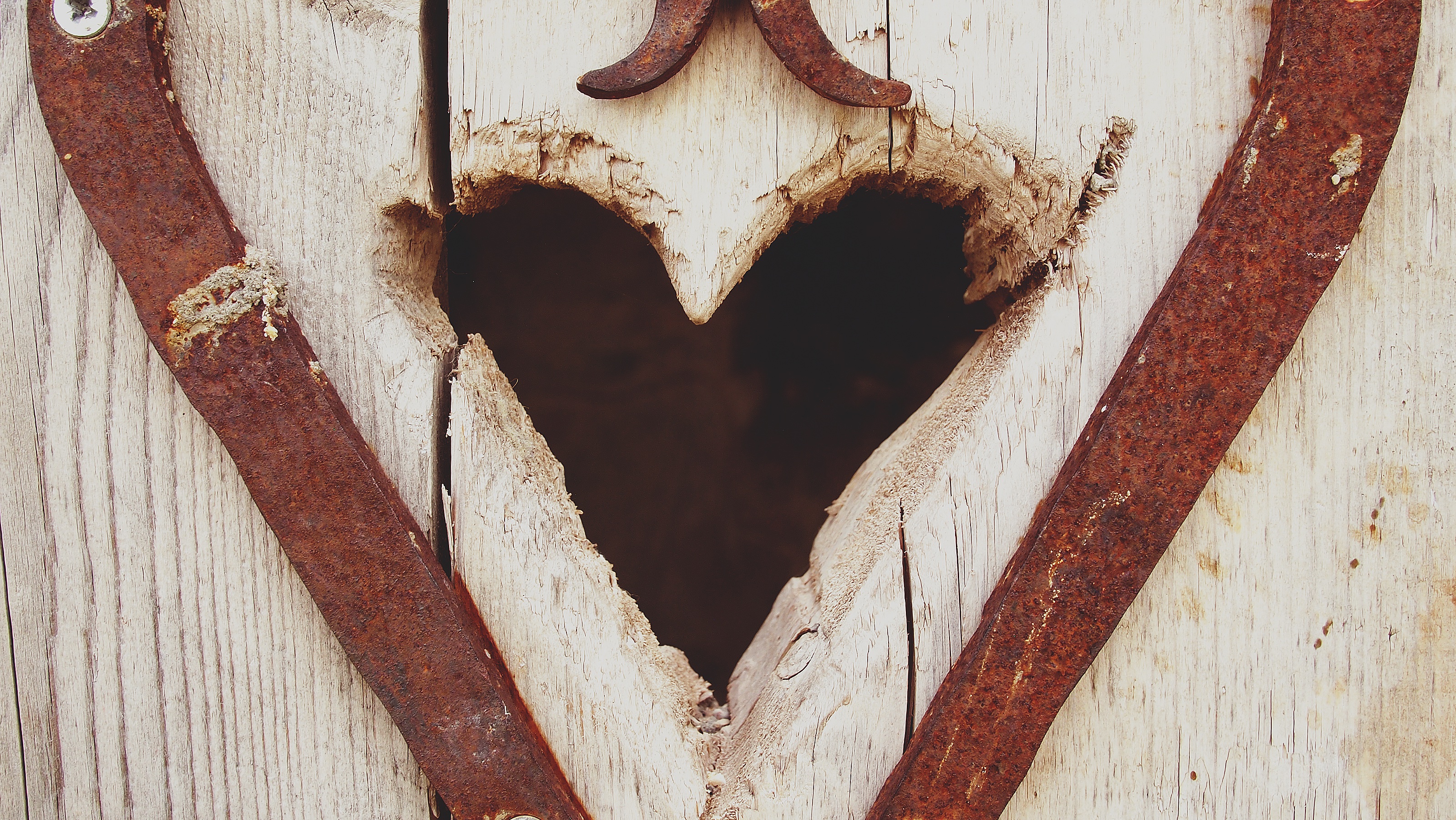 Heart Wood Iron