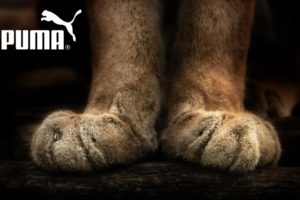 Puma Brand Firm Sports Foot