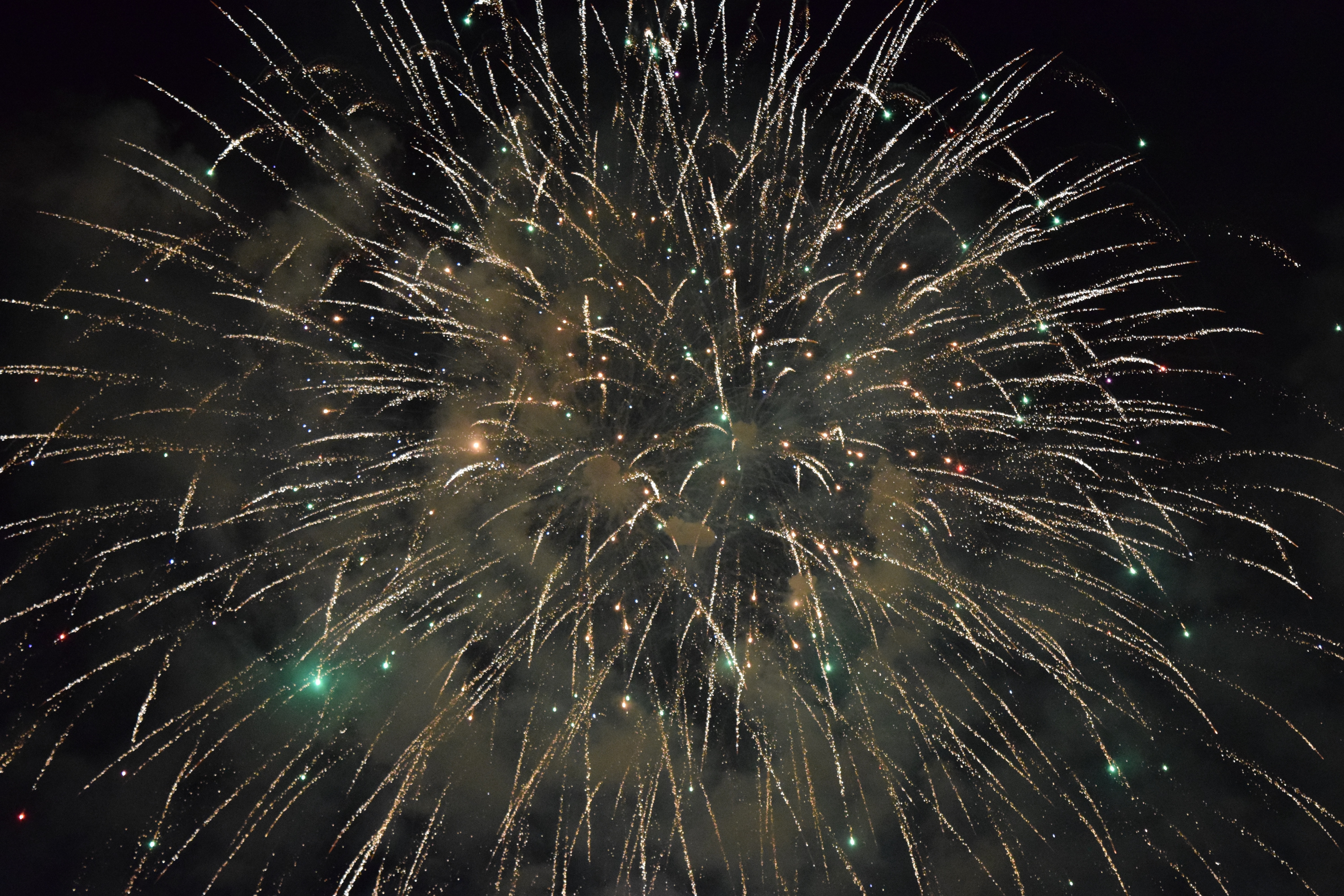 Salute Fireworks Holiday Sparks