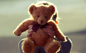 Teddy bear Toy Hand