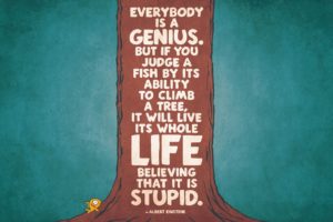 Everybody is a genius