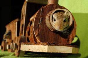 Brown Squirrel Inside of Brown Wooden Train Miniature