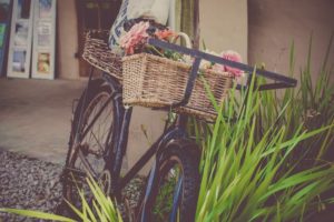 basket bicycle bike