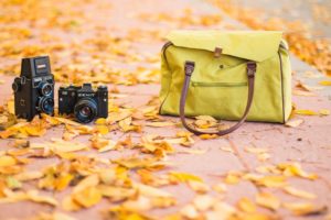 autumn bag cameras