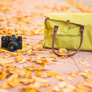 autumn bag cameras