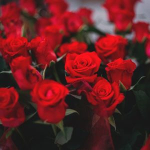 Red Roses Flowers Bouquet