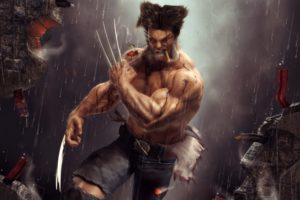 Wolverine Artwork