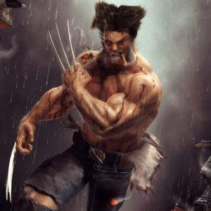 Wolverine Artwork