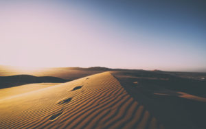 Desert Sand Dunes 5K