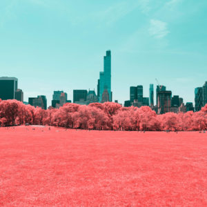 NYC Central Park Infrared 4K Wallpapers