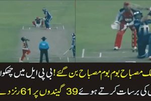 Misbah Ul Haq 61 runs in BPL match
