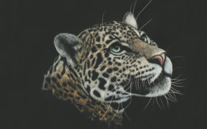 Leopard Artwork Paint 4K