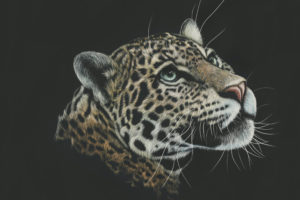 Leopard Artwork Paint 4K