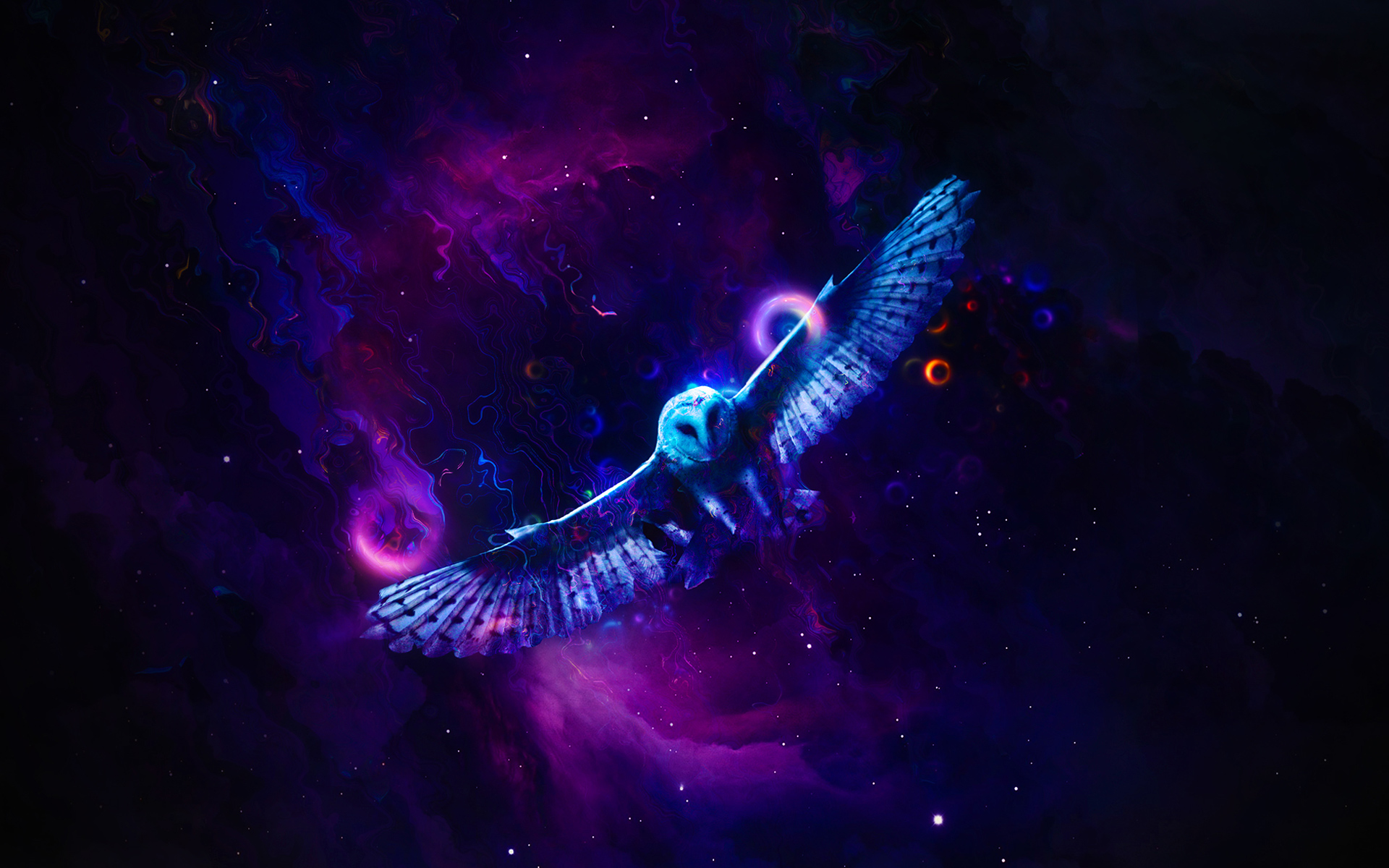 Neon Bird Wallpapers | HD Wallpapers