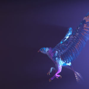 Purple Bird CGI Wallpapers