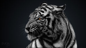 Tiger Artwork HD