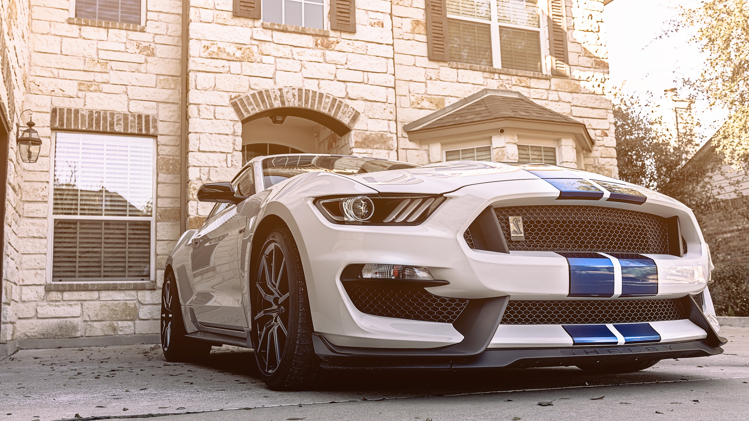 2018 Ford Mustang Shelby GT350 Wallpapers