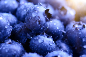 Blueberries HD
