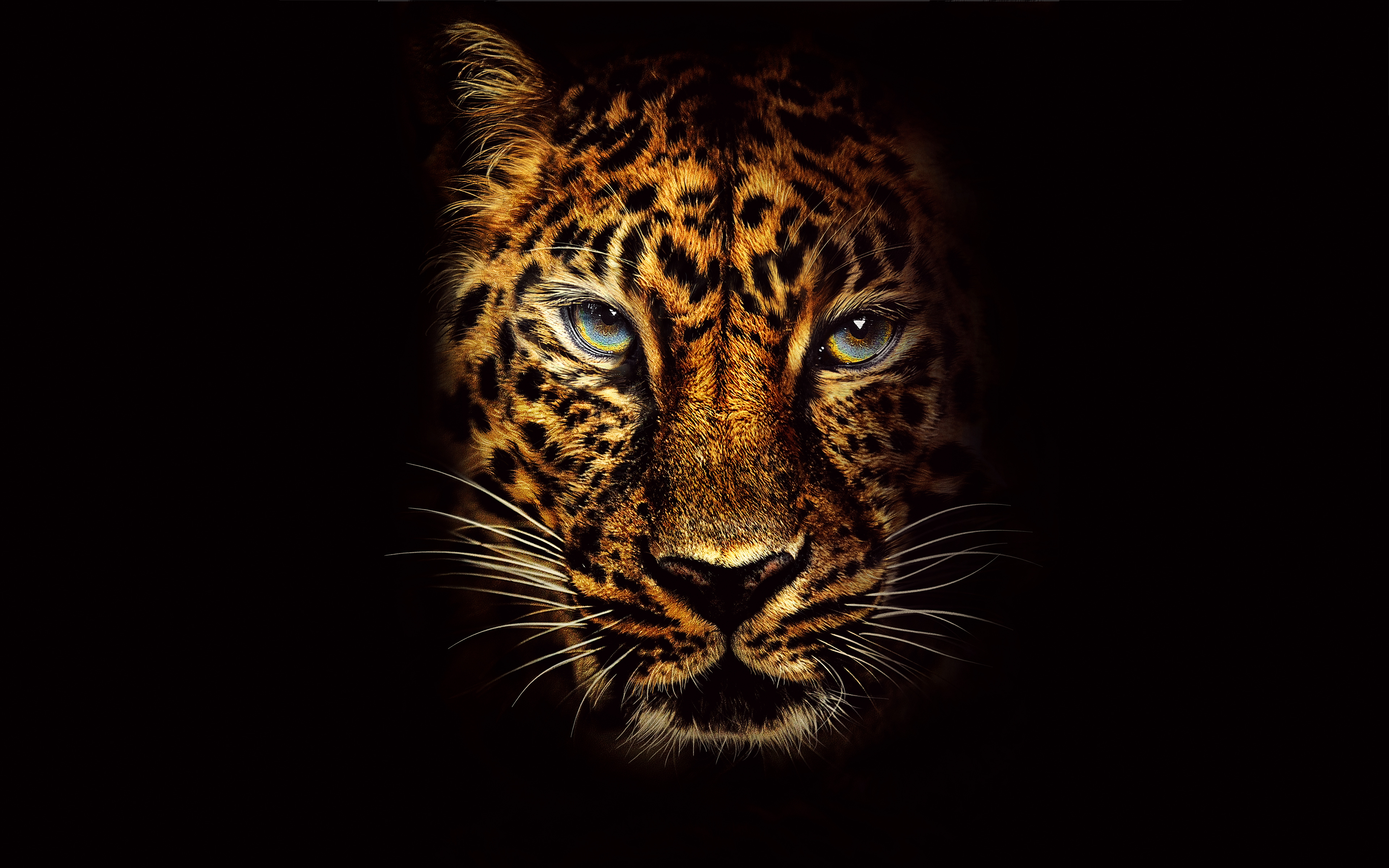 Jaguar in Jumanji Welcome to the Jungle 4K 8K Wallpapers
