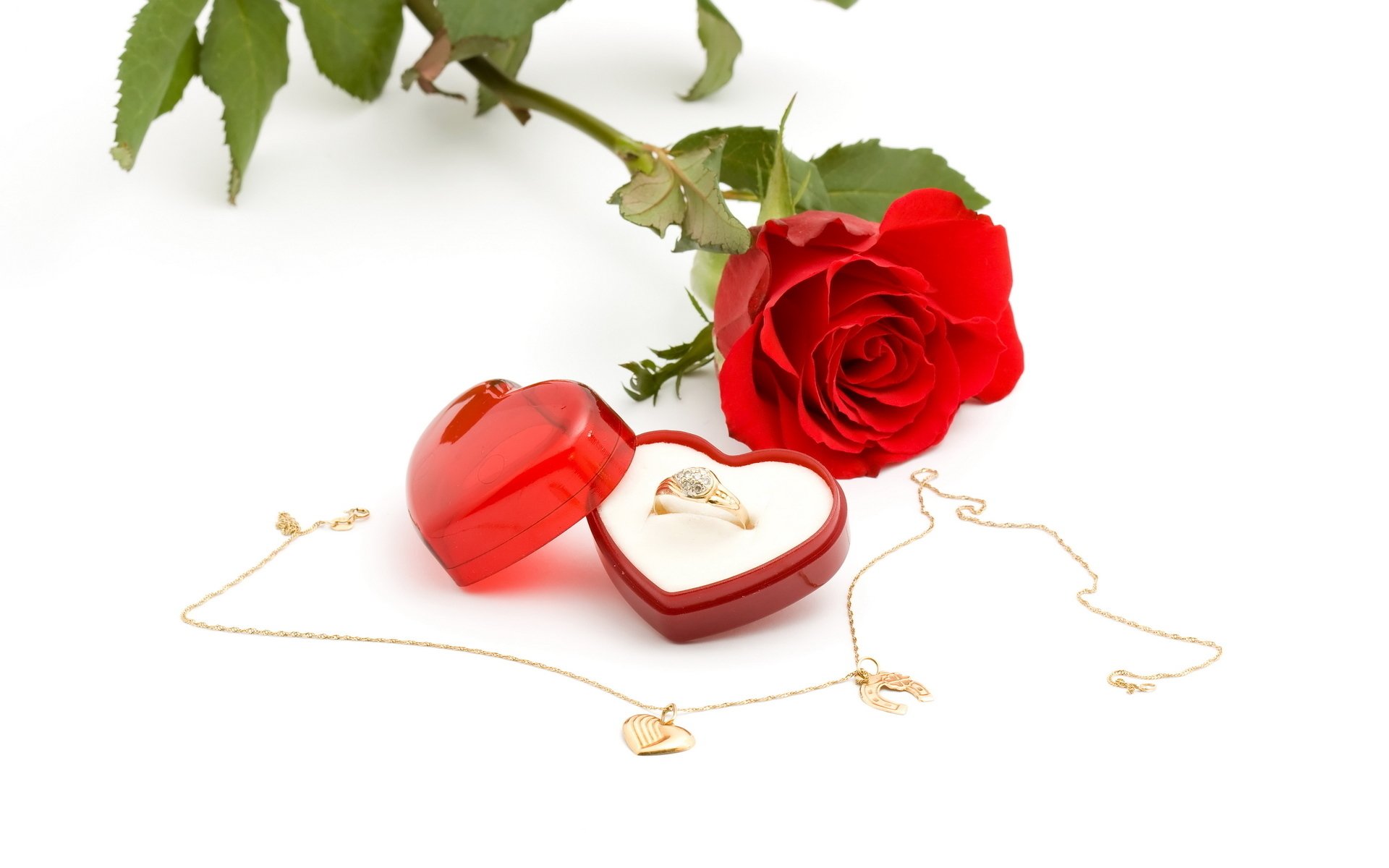 Love Flower Necklaces HD Wallpapers