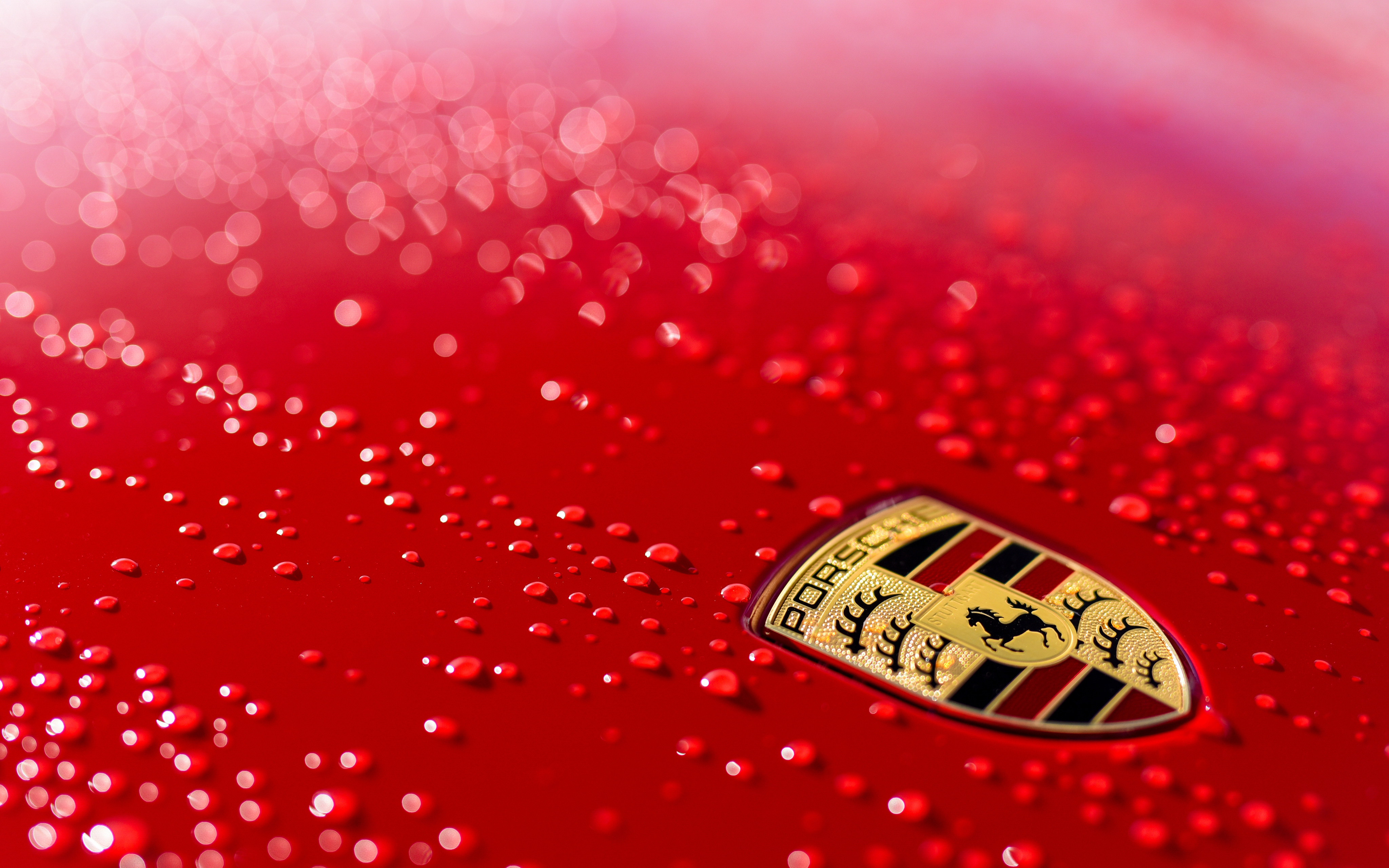 Porsche Logo HD 4K