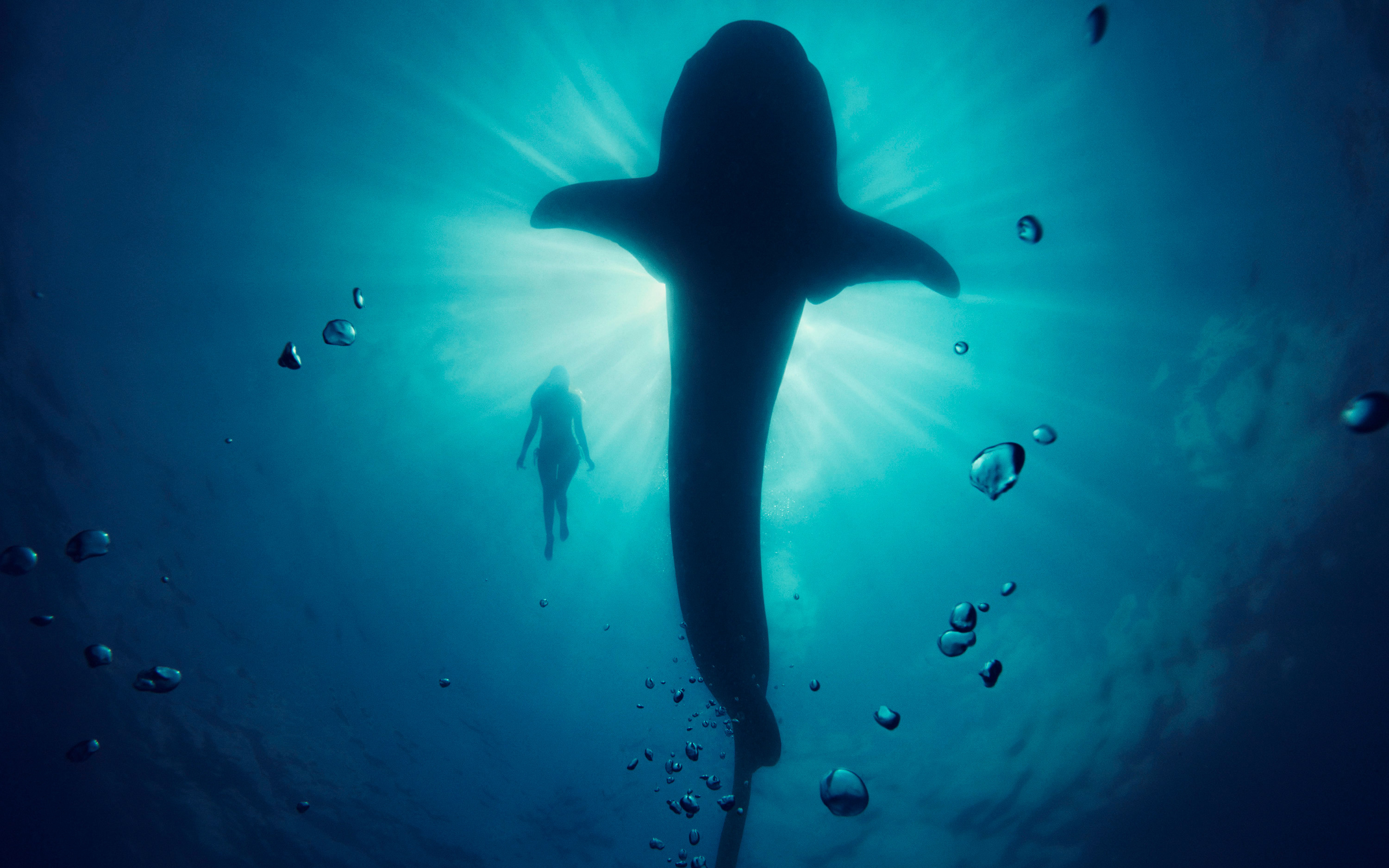 Whale Model Underwater