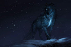 CGI Wolf Wallpapers
