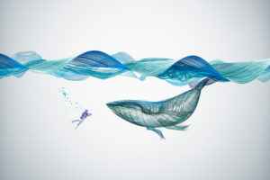 Underwater Whale Illustration Wallpapers