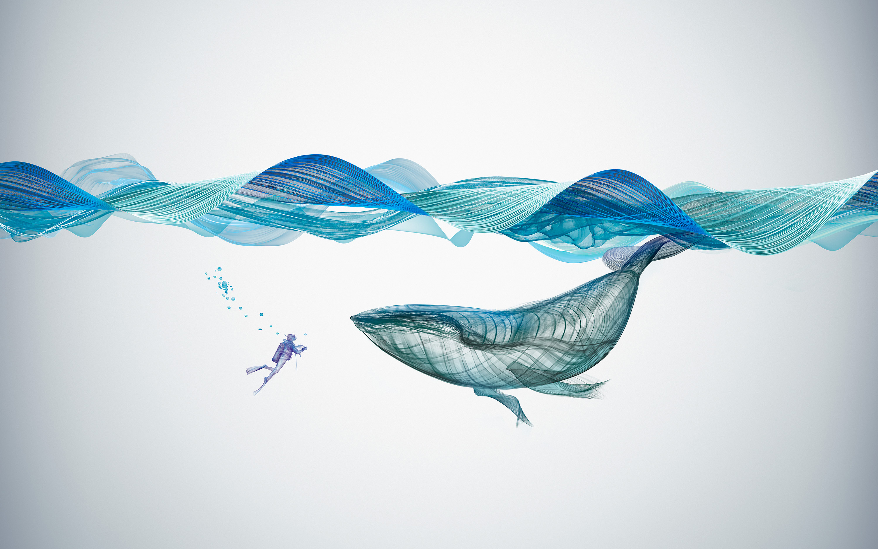 Underwater Whale Illustration Wallpapers