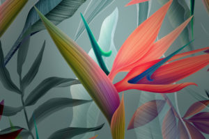 Abstract Flowers Wallpapers