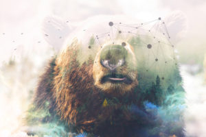 Grizzly bear Forest Double Exposure 4K